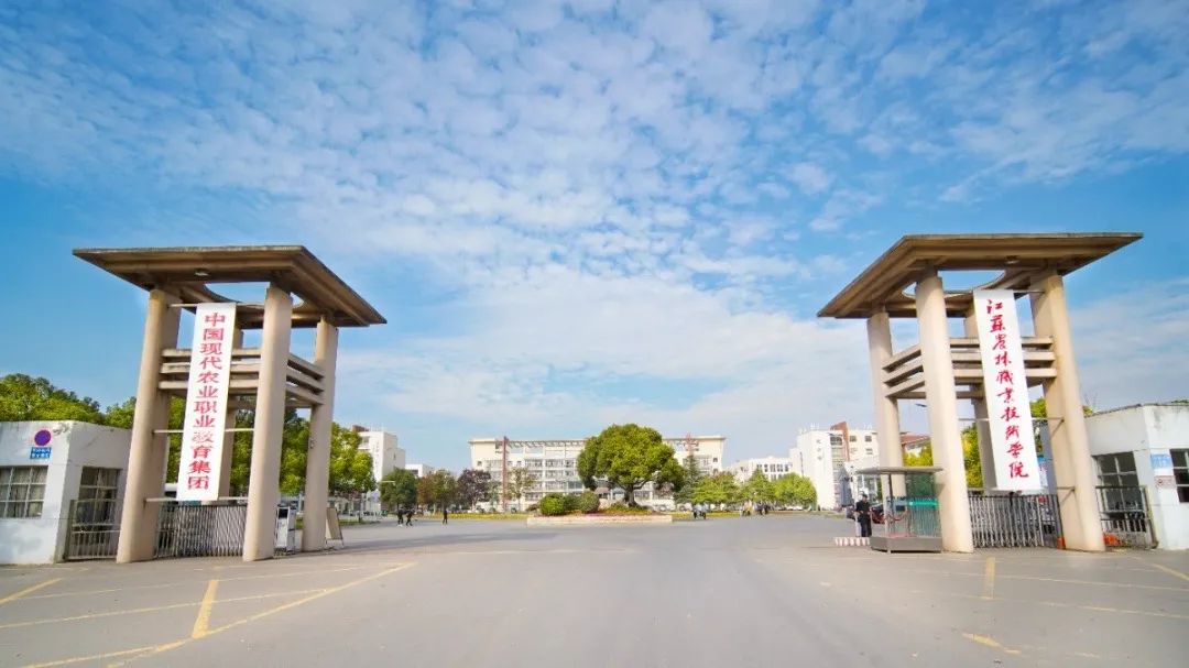 未畢業(yè)就定崗，一畢業(yè)就任教大學&hellip;&hellip;這所職校的學生緣何這么牛？