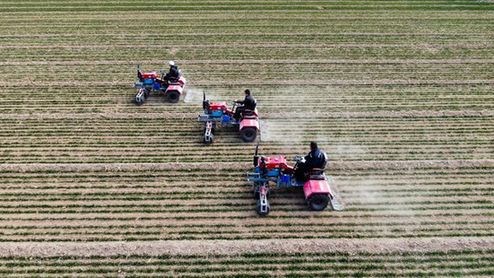 小麥管得怎樣？種子有無保障？農(nóng)機夠用嗎？