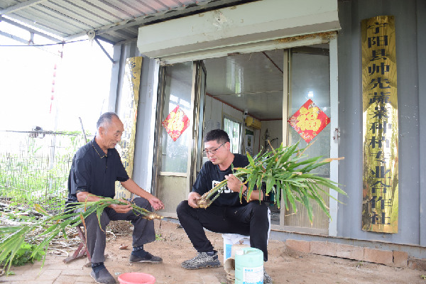 山東泰安&ldquo;五鄉(xiāng)行動(dòng)&rdquo;構(gòu)筑鄉(xiāng)村振興人才高地