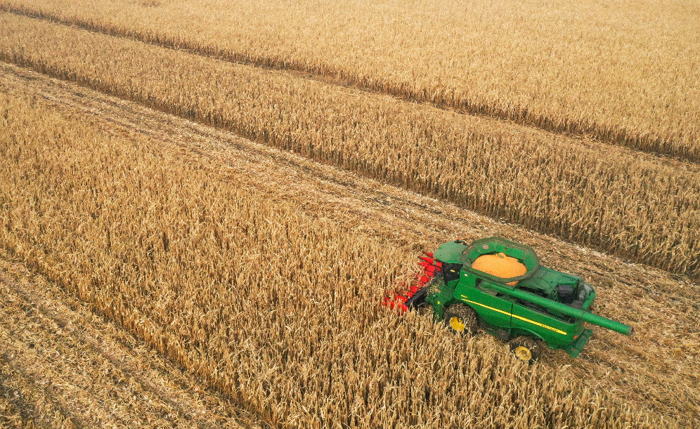 &ldquo;綠科技&rdquo;里的豐收密碼