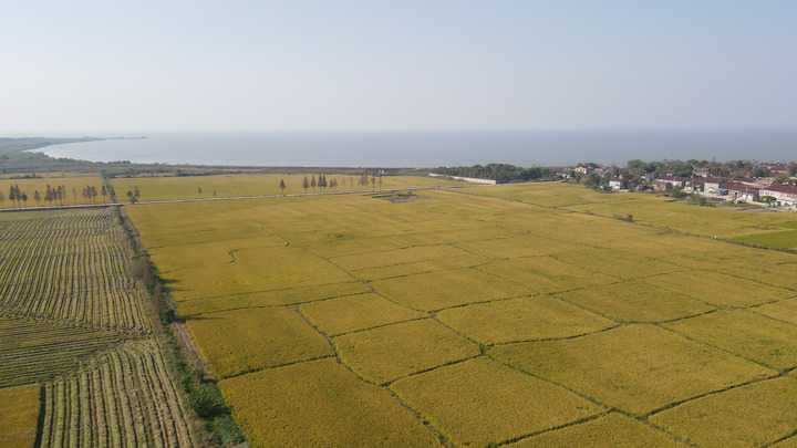 育護&ldquo;農(nóng)業(yè)芯&rdquo;　打好&ldquo;翻身仗&rdquo;