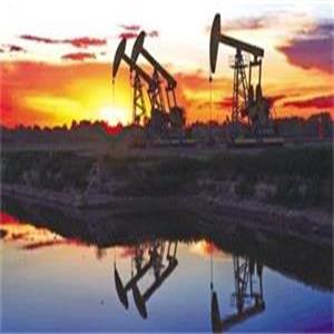 黑龍江乘&ldquo;數(shù)&rdquo;而上撬動(dòng)產(chǎn)業(yè)轉(zhuǎn)型升級(jí)