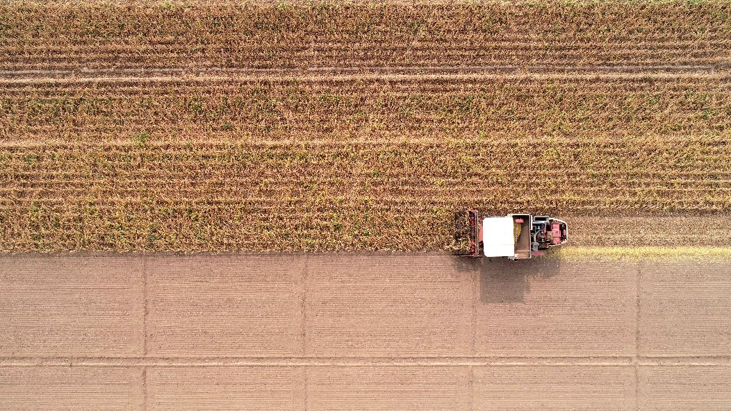 小糧庫(kù)大&ldquo;蠹蟲(chóng)&rdquo;：糧食購(gòu)銷(xiāo)貪腐為何頻頻得手？