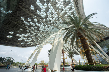 國資央企聚海南　&ldquo;各顯神通&rdquo;逐夢(mèng)自貿(mào)港