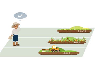 套補貼、無運作&ldquo;空殼合作社&rdquo;頻現(xiàn)