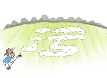 &ldquo;白色污染&rdquo;治理業(yè)內人士提出新思路