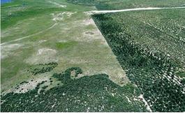 部分草原保護(hù)項目竟變&ldquo;生態(tài)殺手&rdquo;