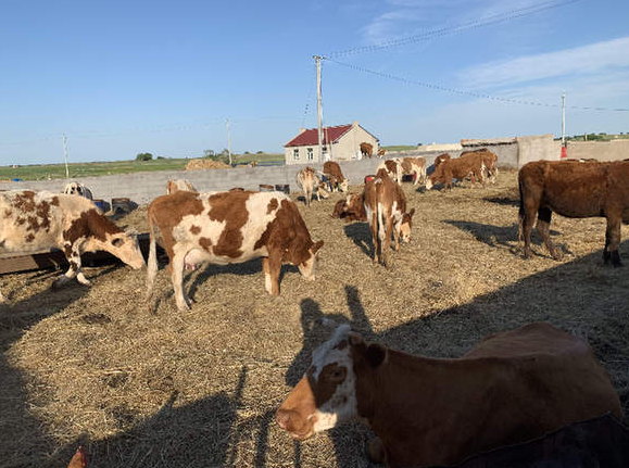 &ldquo;新調(diào)整&rdquo;能否終結(jié)自然保護區(qū)亂象？